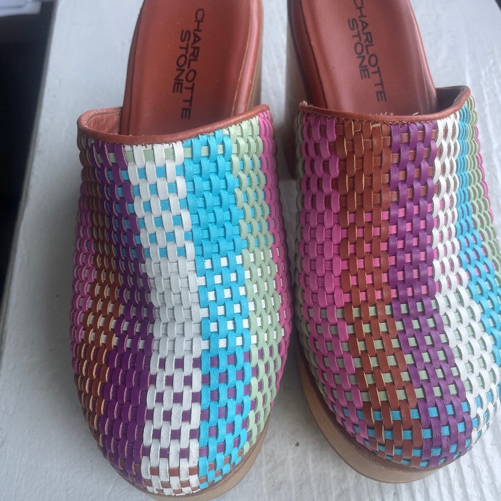 Charlotte Stone Martini Clogs in Carnival